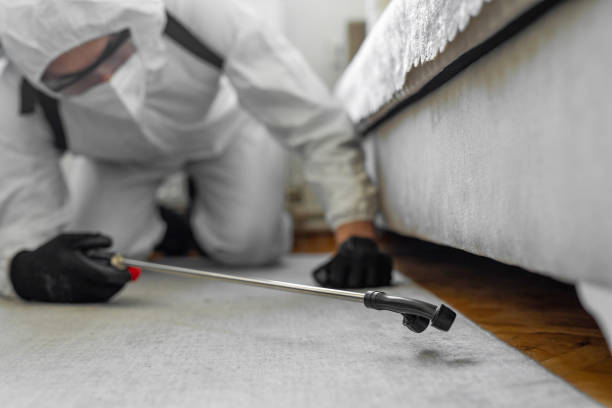 Professional Termite Control technician working in Citrus City, TX