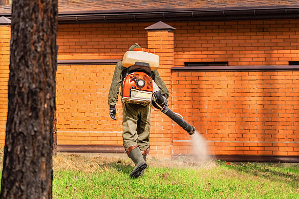 Trusted Bed Bug Control service in Citrus City, TX - Nex Pest Control